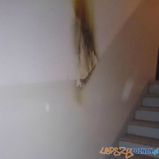 Dym obudził mieszkańców Foto: Tomasz Kołtuńczyk Dym obudził mieszkańców Foto: Tomasz Kołtuńczyk