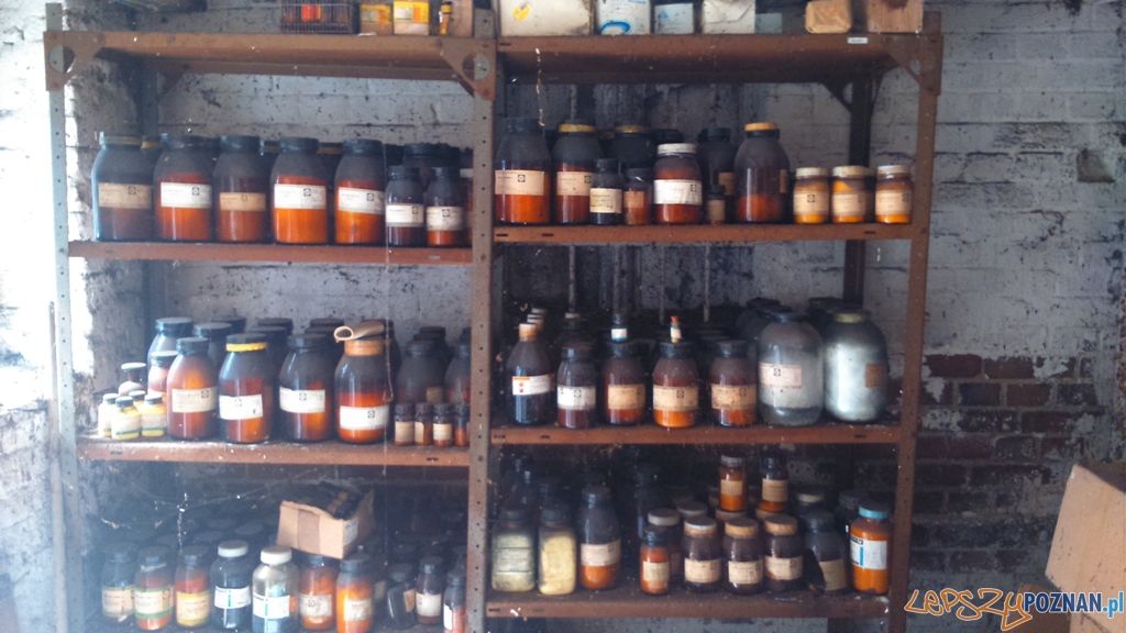 Chemikalia w szopie na Jeżycach Foto: Straż Miejska Chemikalia w szopie na Jeżycach Foto: Straż Miejska