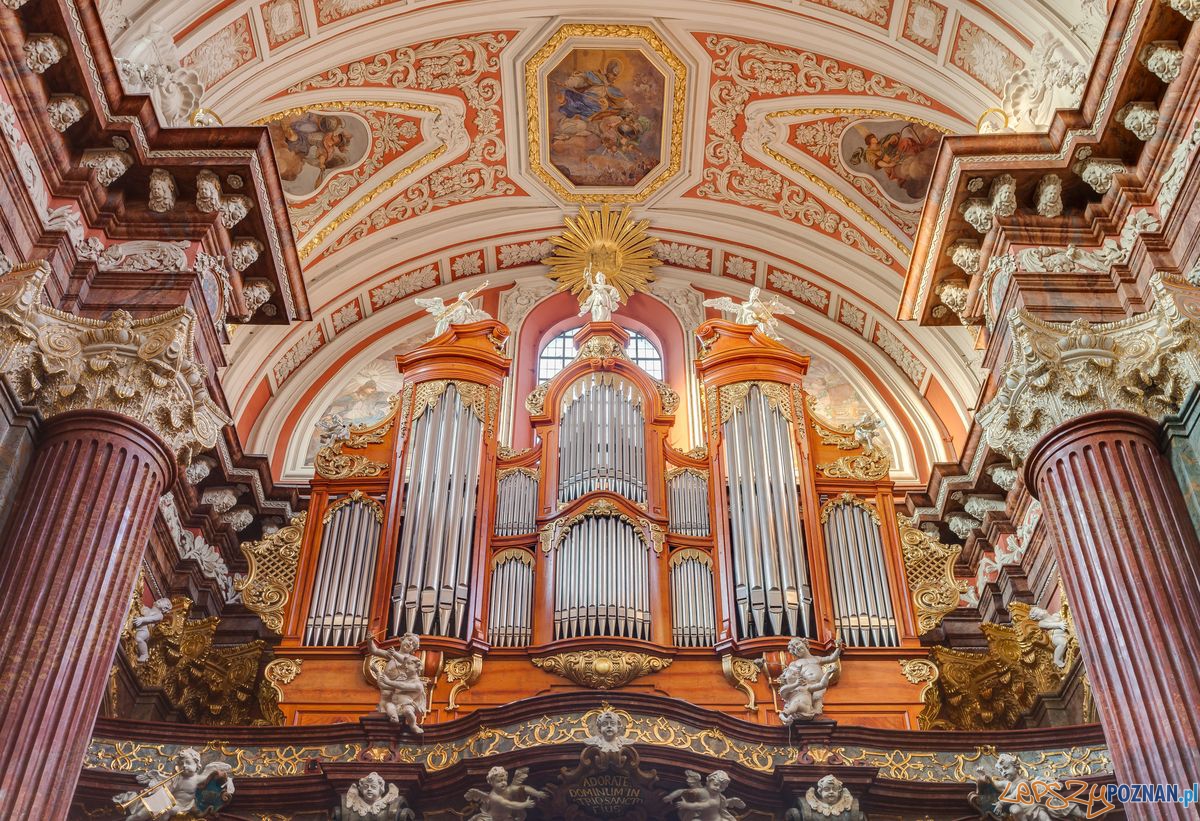 Organy Ladegasta  Foto: cc/wikipedia