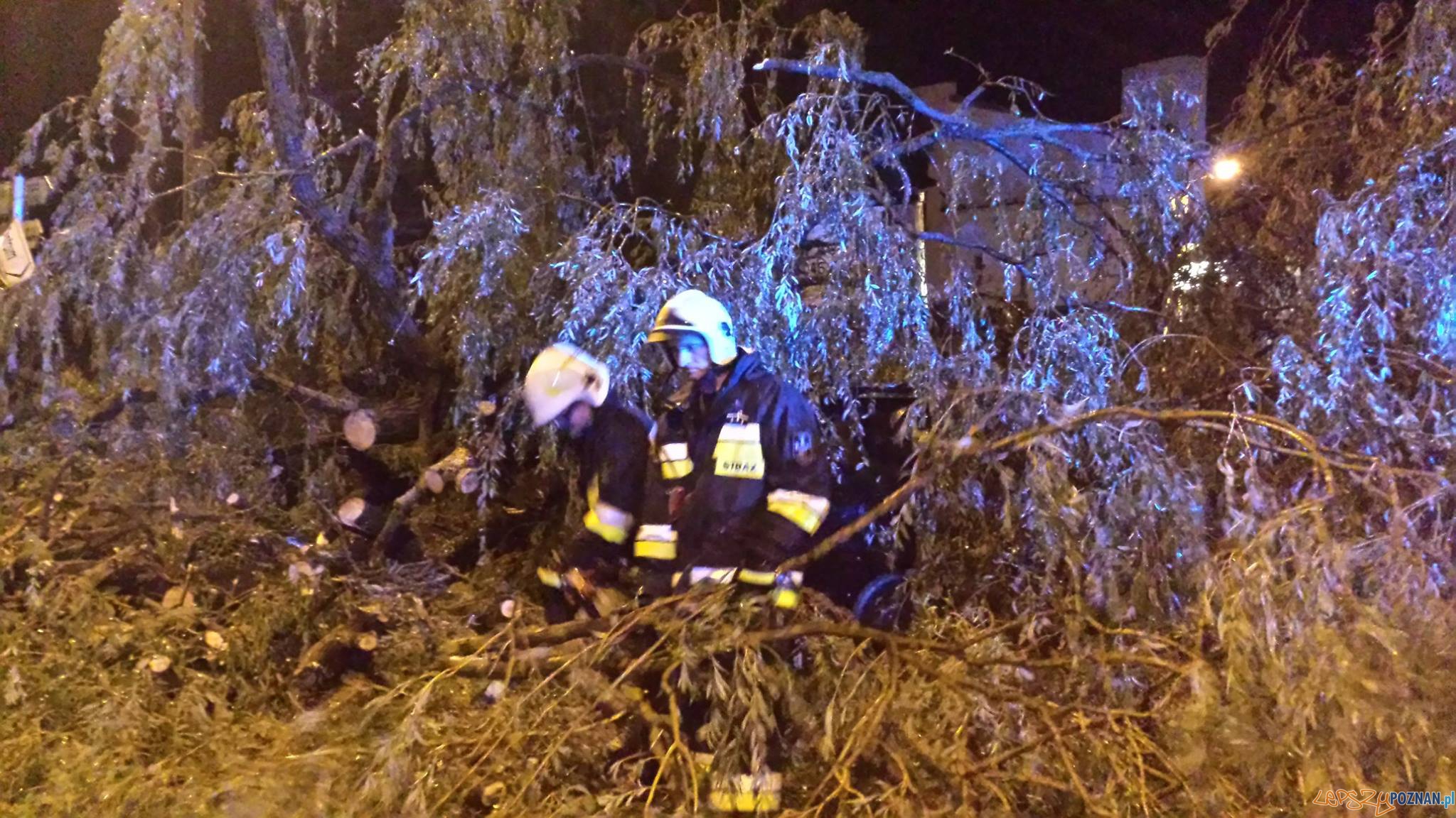 Zniszczenia w Puszczykowie Foto: OSP Puszczykowo Zniszczenia w Puszczykowie Foto: OSP Puszczykowo