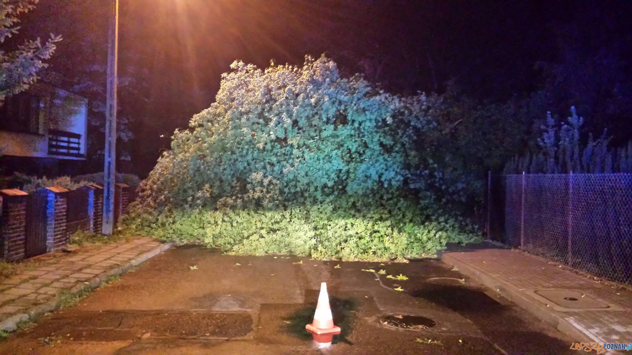 Zniszczenia w Puszczykowie Foto: OSP Puszczykowo Zniszczenia w Puszczykowie Foto: OSP Puszczykowo