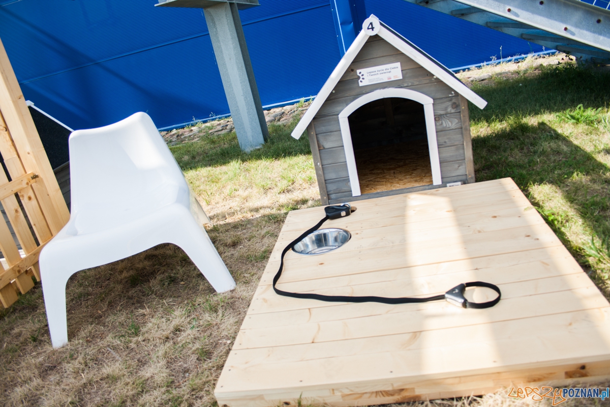 Pierwszy parking dla psów w Poznaniu (21.08.2015) Franowo Foto: © Karolina Kiraga Pierwszy parking dla psów w Poznaniu (21.08.2015) Franowo Foto: © Karolina Kiraga