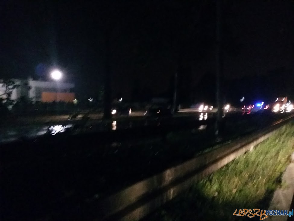 Utrudnienia po nawałnicy - zwalone drzewo w Swarzędzu Foto: lepszyPOZNAN.pl / tab Utrudnienia po nawałnicy - zwalone drzewo w Swarzędzu Foto: lepszyPOZNAN.pl / tab