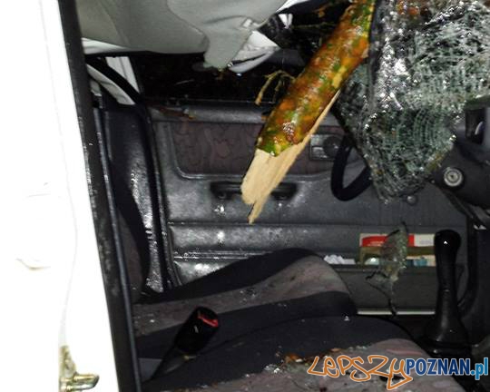 Zniszczenia w Puszczykowie Foto: OSP Puszczykowo Zniszczenia w Puszczykowie Foto: OSP Puszczykowo