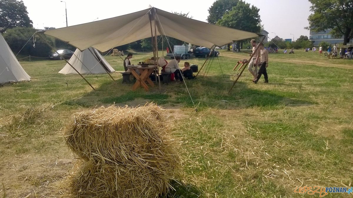Piknik Wielków Średnich w Starym Porcie_03 Foto: TD Piknik Wielków Średnich w Starym Porcie_03 Foto: TD