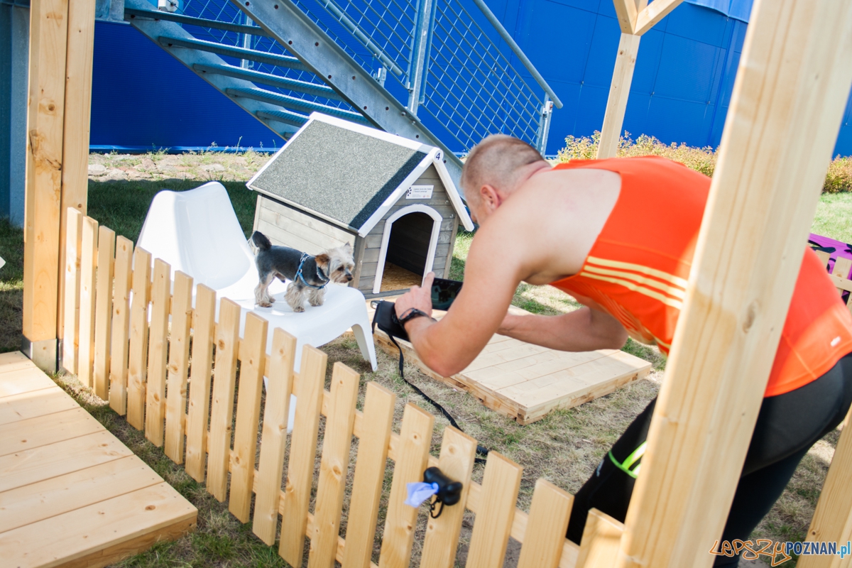 Pierwszy parking dla psów w Poznaniu (21.08.2015) Franowo Foto: © Karolina Kiraga Pierwszy parking dla psów w Poznaniu (21.08.2015) Franowo Foto: © Karolina Kiraga