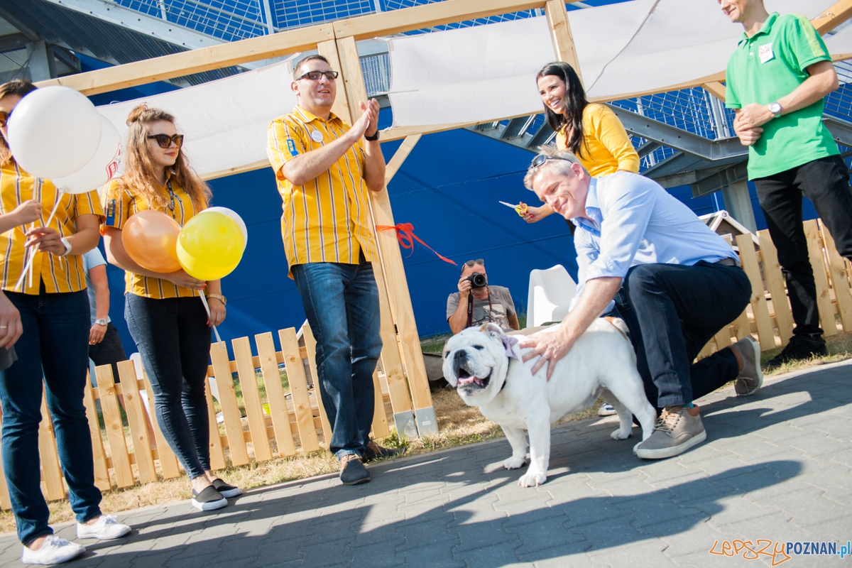 Pierwszy parking dla psów w Poznaniu (21.08.2015) Franowo Foto: © Karolina Kiraga Pierwszy parking dla psów w Poznaniu (21.08.2015) Franowo Foto: © Karolina Kiraga