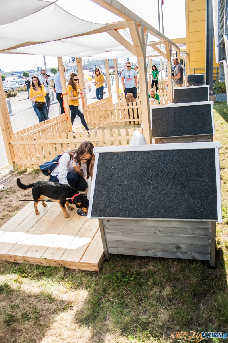 Pierwszy parking dla psów w Poznaniu (21.08.2015) Franowo Foto: © Karolina Kiraga Pierwszy parking dla psów w Poznaniu (21.08.2015) Franowo Foto: © Karolina Kiraga