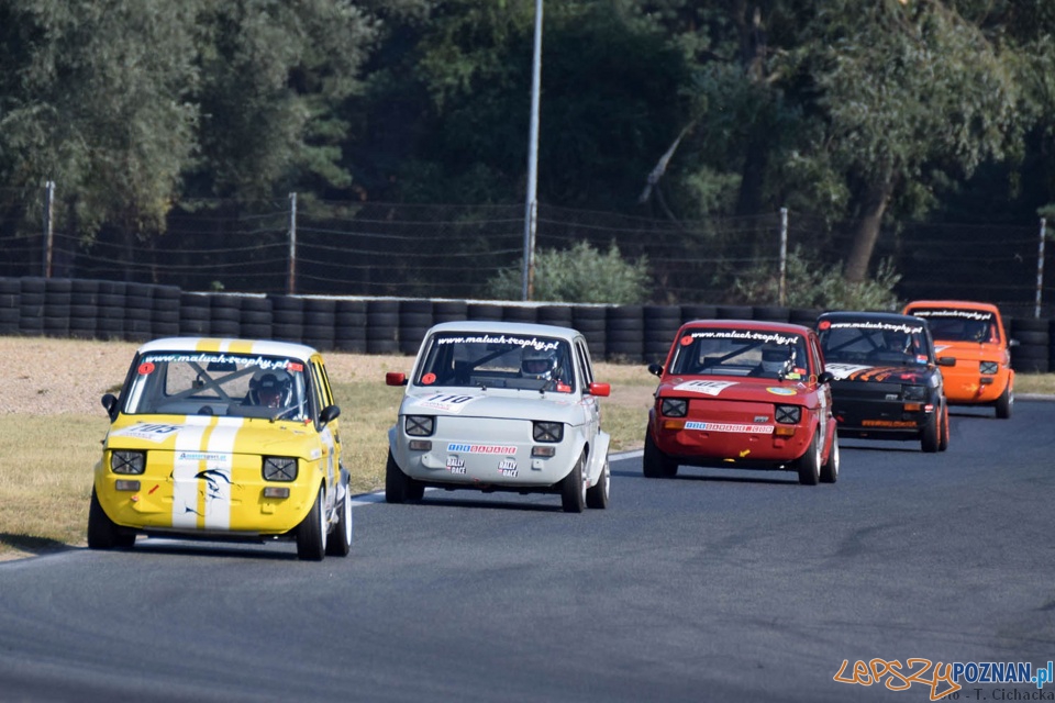 Wyścigi samochodowe na Torze "Poznań" Foto: materiały prasowe AW Wyścigi samochodowe na Torze "Poznań" Foto: materiały prasowe AW