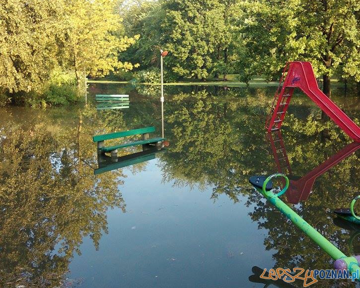 zalany Park Wodziczki Foto: Targ Śniadaniowy zalany Park Wodziczki Foto: Targ Śniadaniowy