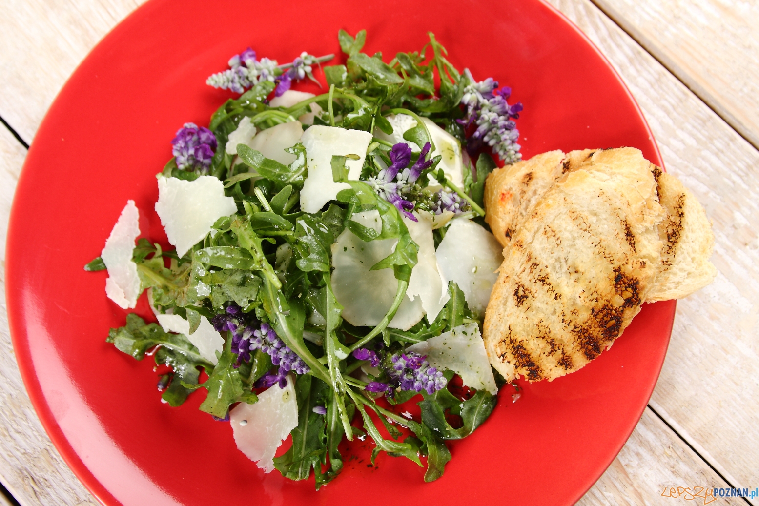 Pieczony topinambur z sałatką z rukoli Foto: materialy prasowe Pieczony topinambur z sałatką z rukoli Foto: materialy prasowe