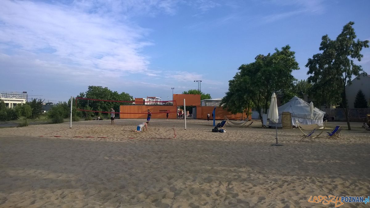 Plaża nad Warta Foto: TD Plaża nad Warta Foto: TD