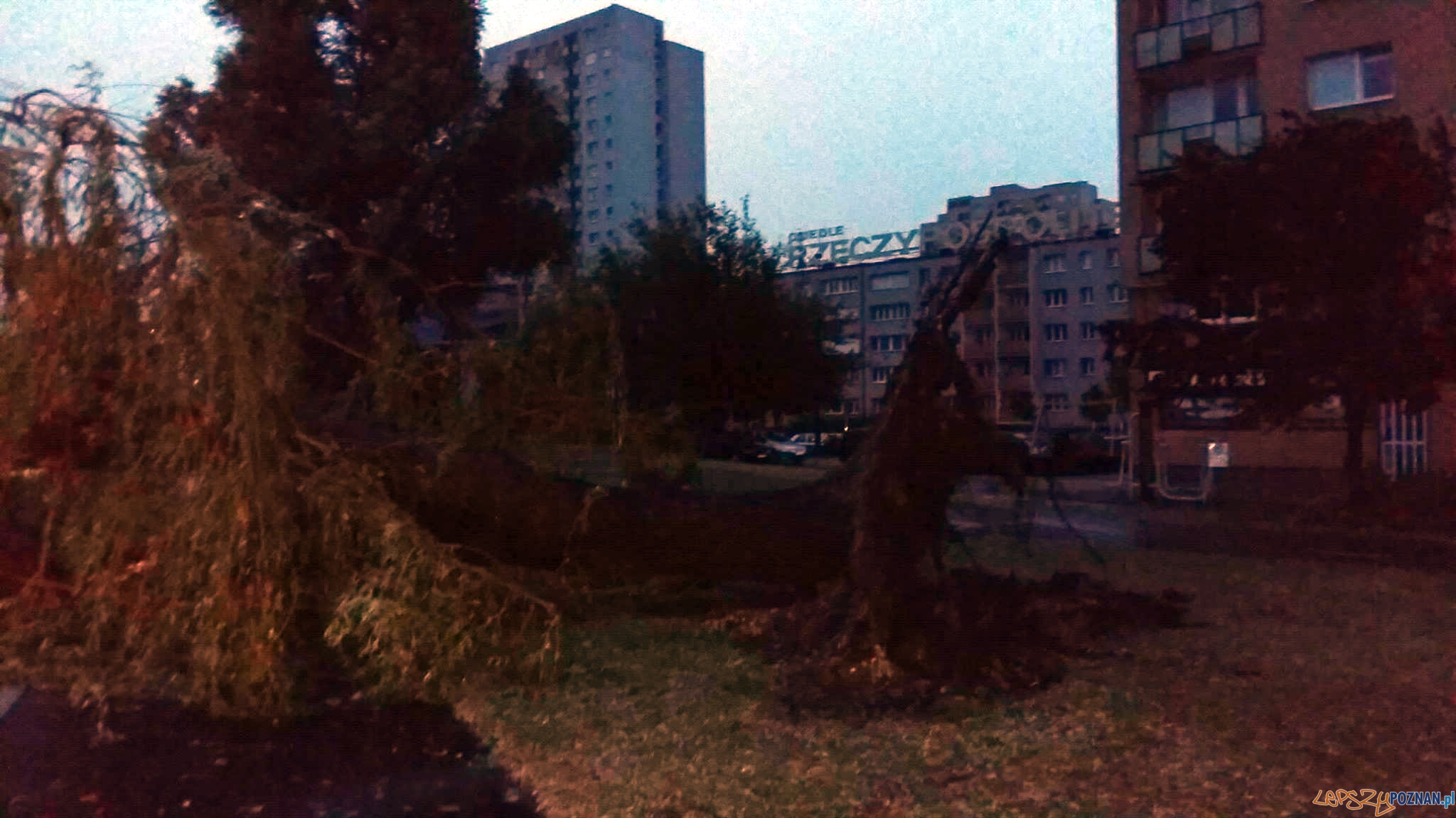 Utrudnienia po nawałnicy Foto: Zdzisław Radkowski Utrudnienia po nawałnicy Foto: Zdzisław Radkowski