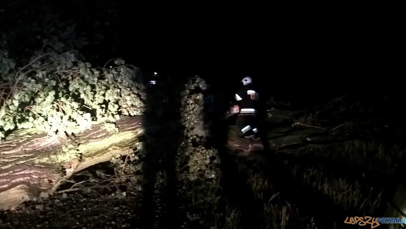 Zniszczenia w Kostrzynie Foto: OSP Kostrzyn Zniszczenia w Kostrzynie Foto: OSP Kostrzyn