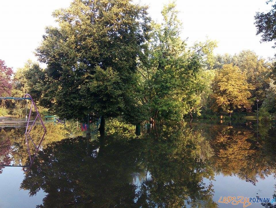 zalany Park Wodziczki Foto: Targ Śniadaniowy zalany Park Wodziczki Foto: Targ Śniadaniowy