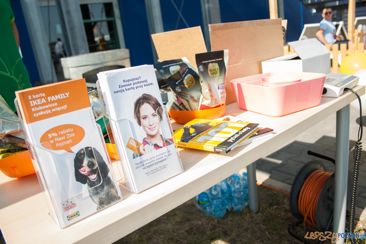 Pierwszy parking dla psów w Poznaniu (21.08.2015) Franowo Foto: © Karolina Kiraga Pierwszy parking dla psów w Poznaniu (21.08.2015) Franowo Foto: © Karolina Kiraga