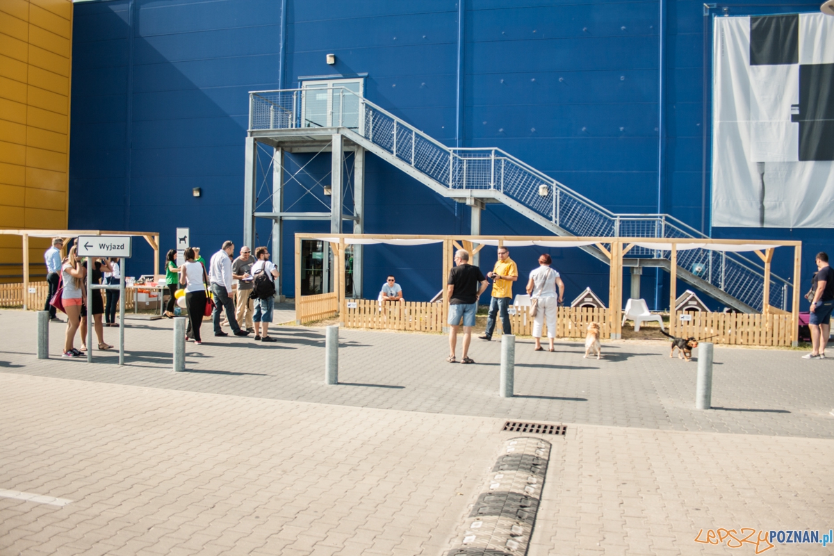 Pierwszy parking dla psów w Poznaniu (21.08.2015) Franowo Foto: © Karolina Kiraga Pierwszy parking dla psów w Poznaniu (21.08.2015) Franowo Foto: © Karolina Kiraga