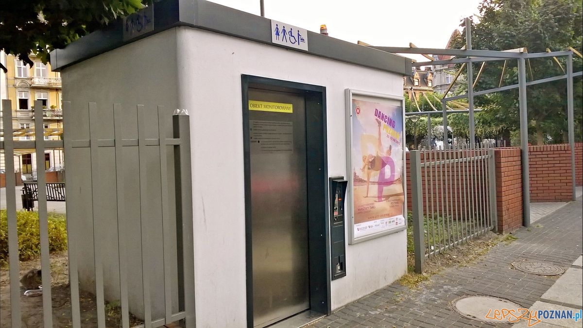 Toaleta na Zielonej Foto: TD Toaleta na Zielonej Foto: TD