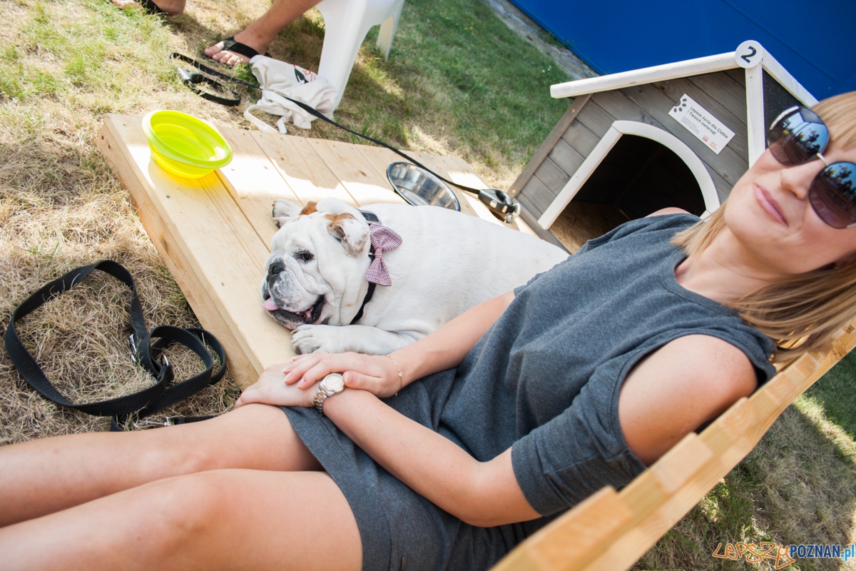 Pierwszy parking dla psów w Poznaniu (21.08.2015) Franowo Foto: © Karolina Kiraga Pierwszy parking dla psów w Poznaniu (21.08.2015) Franowo Foto: © Karolina Kiraga