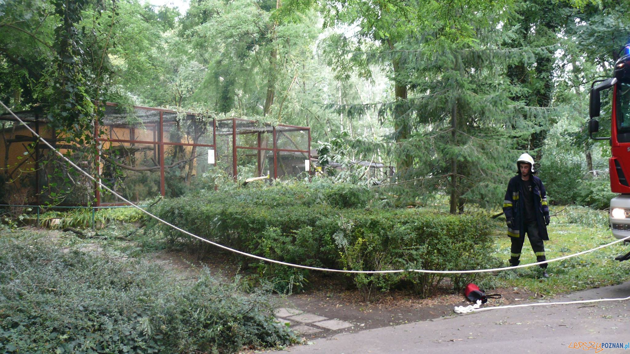 Straż w ogrodzie zoologicznym Foto: facebook Straż w ogrodzie zoologicznym Foto: facebook