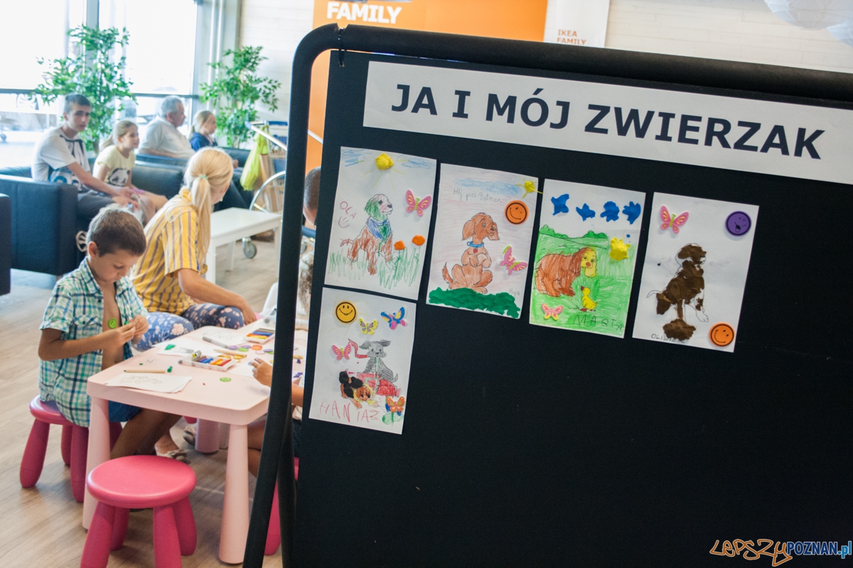 Pierwszy parking dla psów w Poznaniu (21.08.2015) Franowo Foto: © Karolina Kiraga Pierwszy parking dla psów w Poznaniu (21.08.2015) Franowo Foto: © Karolina Kiraga