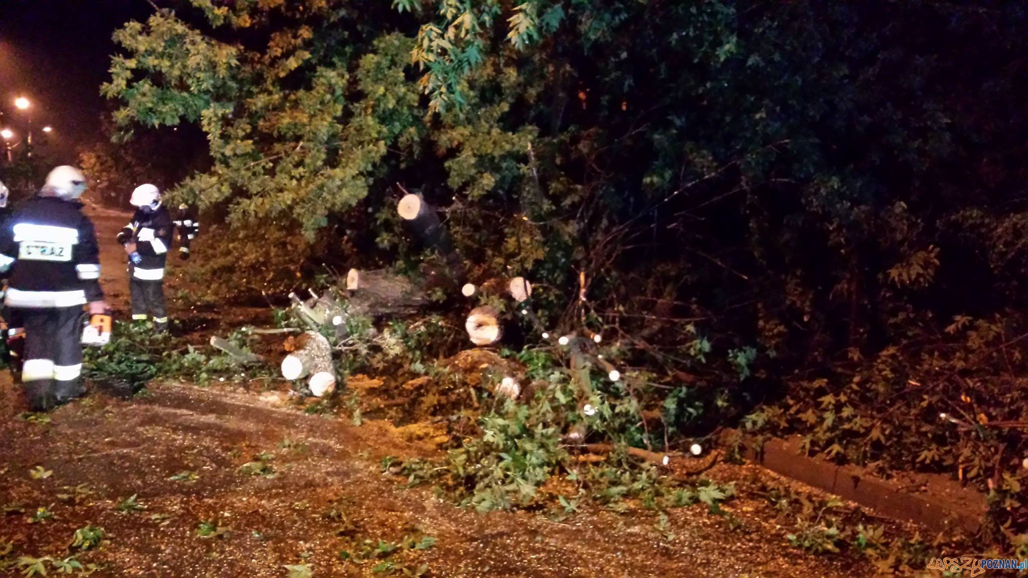 Zniszczenia w Puszczykowie Foto: OSP Puszczykowo Zniszczenia w Puszczykowie Foto: OSP Puszczykowo