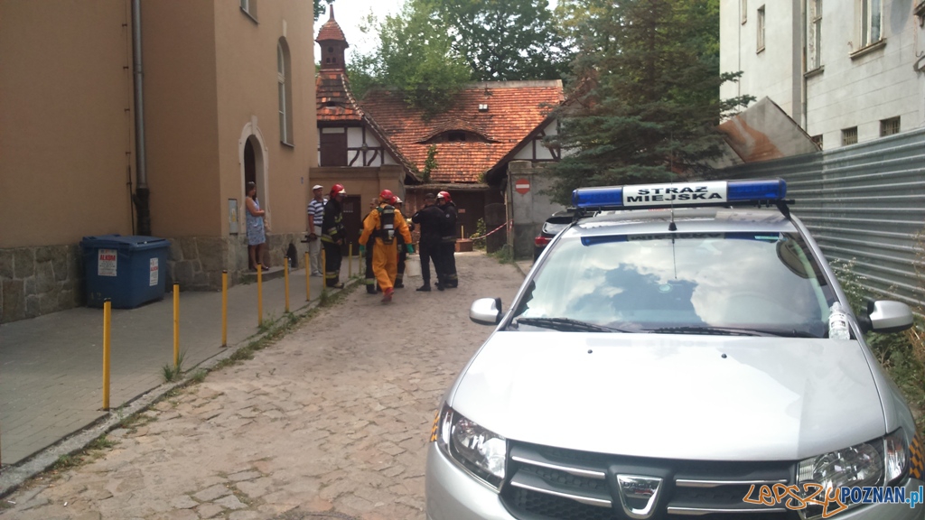 Interwencja Straży Pożarnej Foto: Straż Miejska Interwencja Straży Pożarnej Foto: Straż Miejska