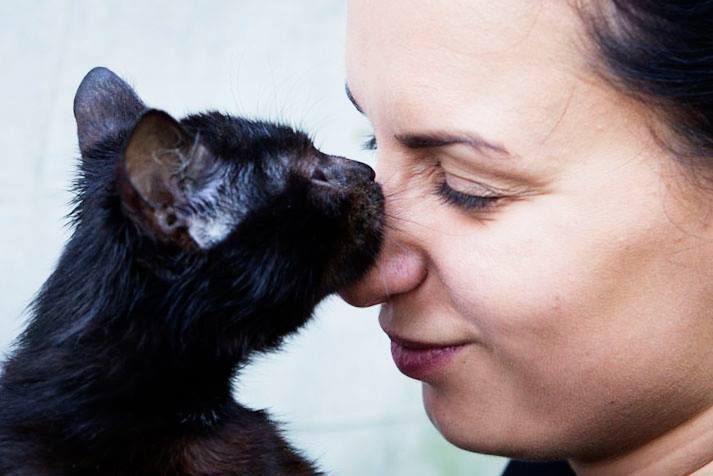 Na pomoc zwierzakom Foto: Fundacja Zwierzęce Marzenia Na pomoc zwierzakom Foto: Fundacja Zwierzęce Marzenia