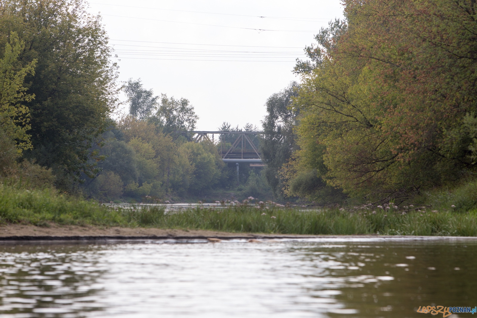 Spływaj śmieciu, tej! Foto: lepszyPOZNAN.pl / Piotr Rychter Spływaj śmieciu, tej! Foto: lepszyPOZNAN.pl / Piotr Rychter