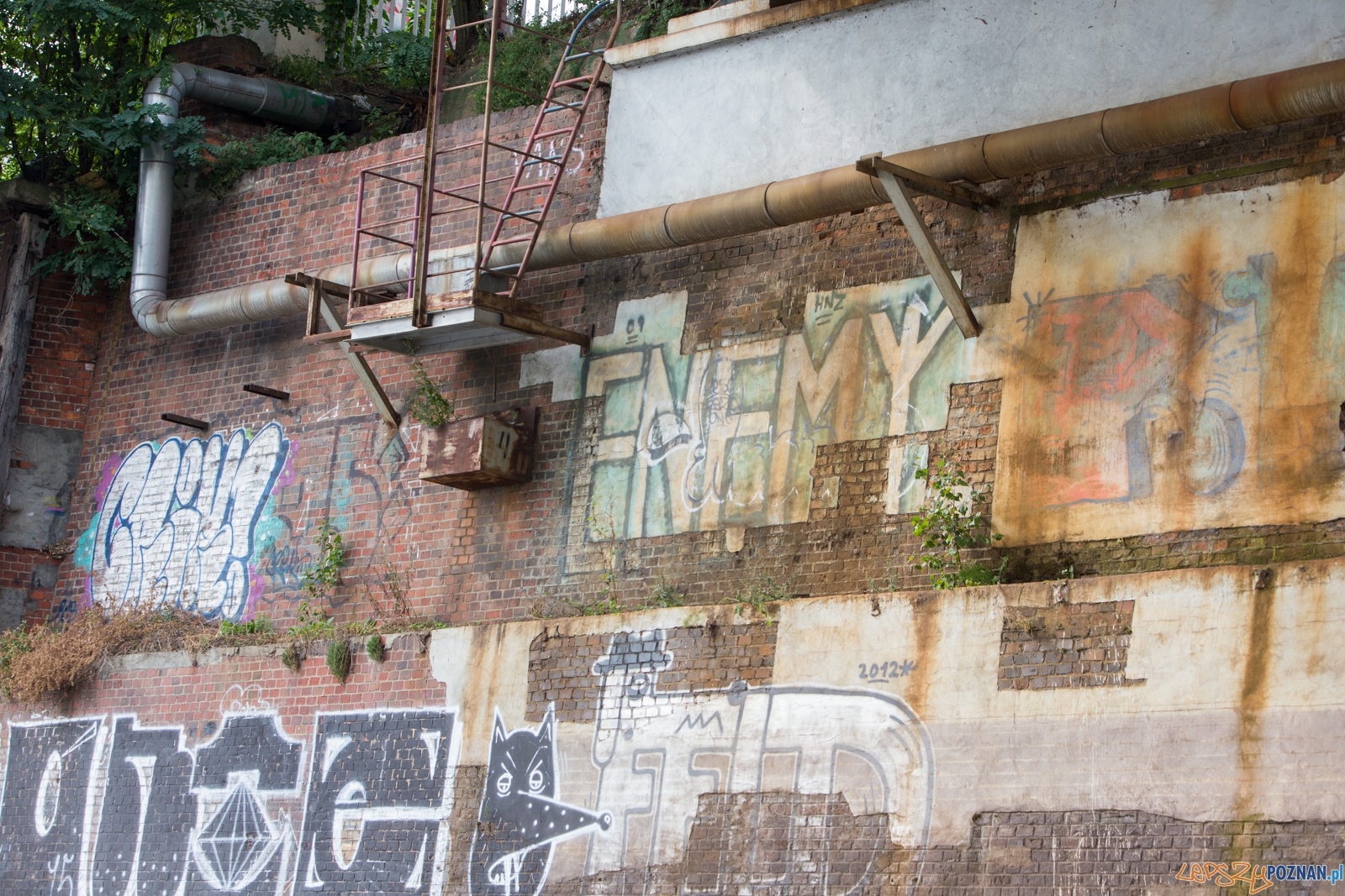 Spływaj śmieciu, tej! Foto: lepszyPOZNAN.pl / Piotr Rychter Spływaj śmieciu, tej! Foto: lepszyPOZNAN.pl / Piotr Rychter