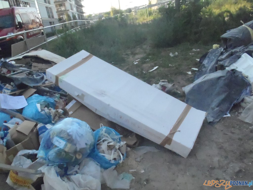 Gemela przy inwestycji River Park (3) Foto: Straż Miejska Gemela przy inwestycji River Park (3) Foto: Straż Miejska