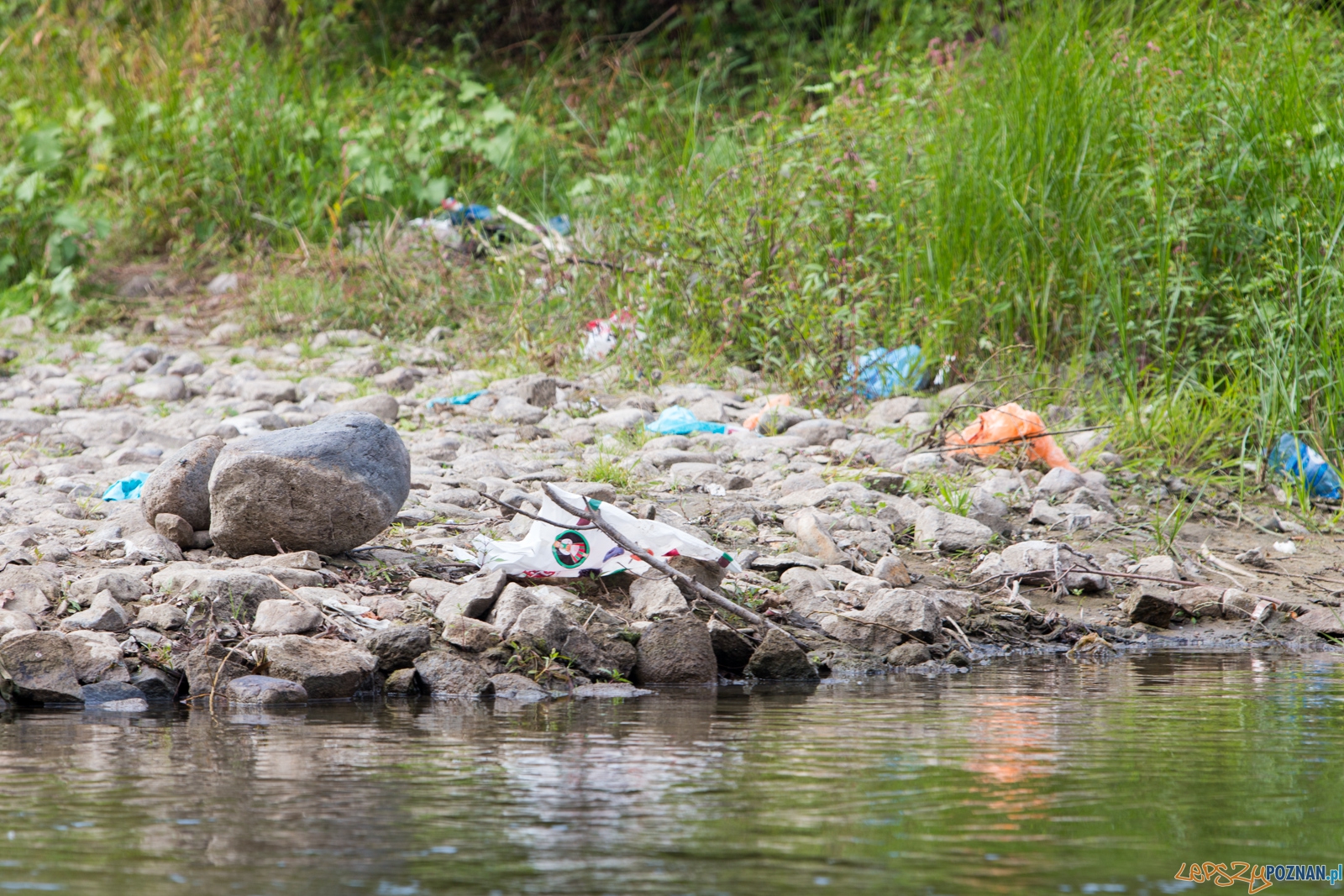 Spływaj śmieciu, tej! Foto: lepszyPOZNAN.pl / Piotr Rychter Spływaj śmieciu, tej! Foto: lepszyPOZNAN.pl / Piotr Rychter