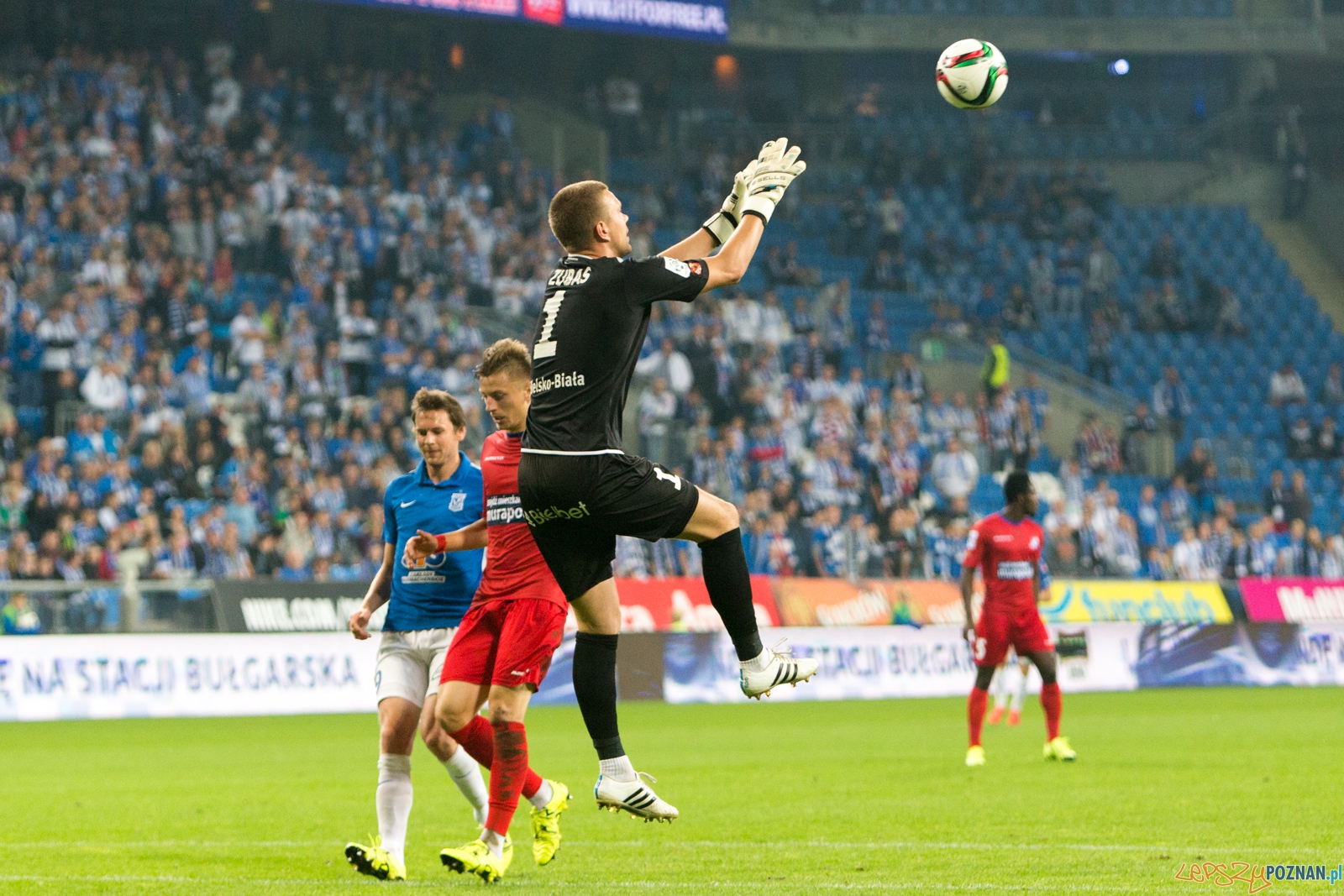 8. kolejka T-Mobile Ekstraklasy - Lech Poznań - Podbeskidzie Bi Foto: lepszyPOZNAN.pl / Piotr Rychter 8. kolejka T-Mobile Ekstraklasy - Lech Poznań - Podbeskidzie Bi Foto: lepszyPOZNAN.pl / Piotr Rychter