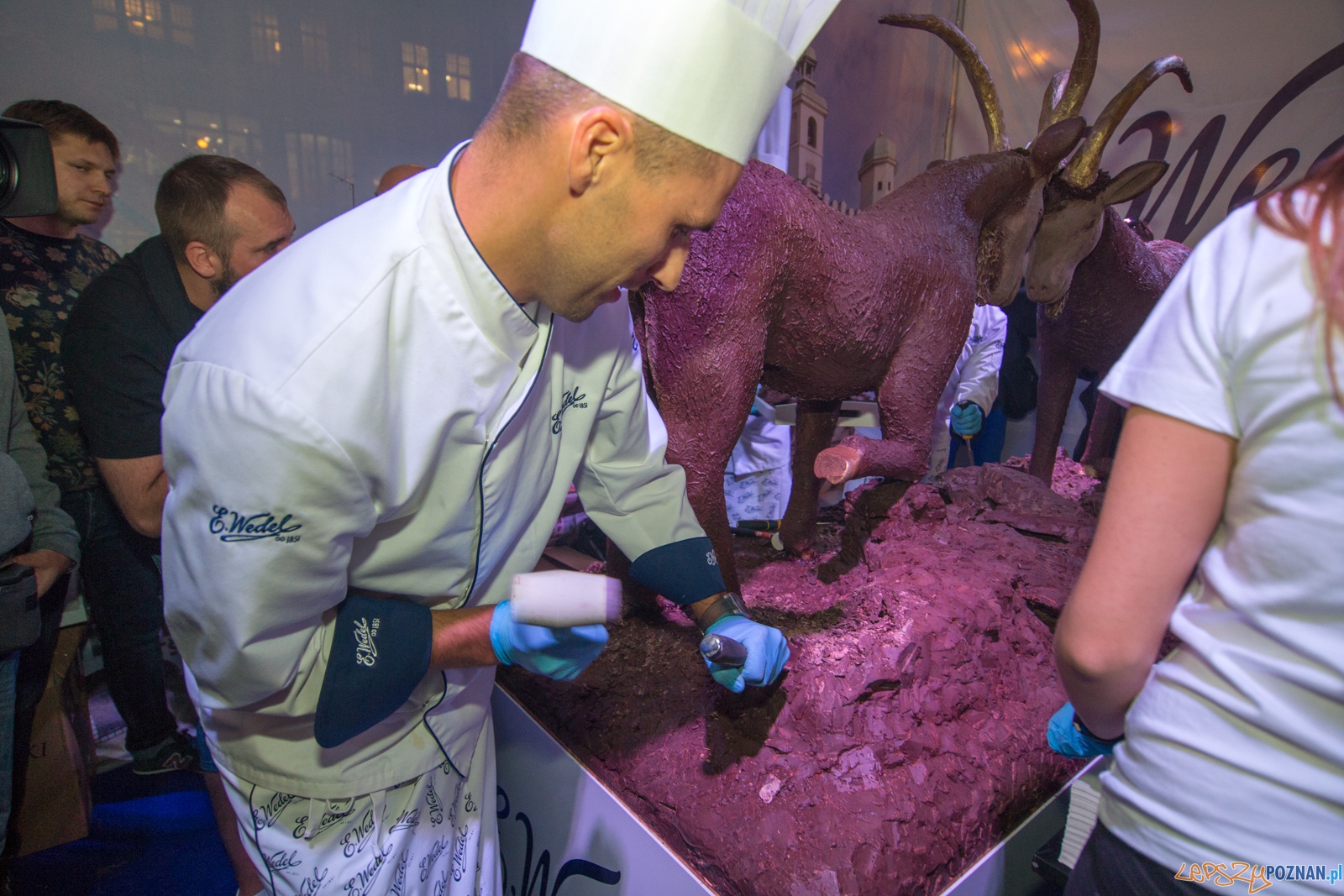 Międzynarodowy Dzień Czekolady Foto: lepszyPOZNAN.pl / Piotr Rychter Międzynarodowy Dzień Czekolady Foto: lepszyPOZNAN.pl / Piotr Rychter