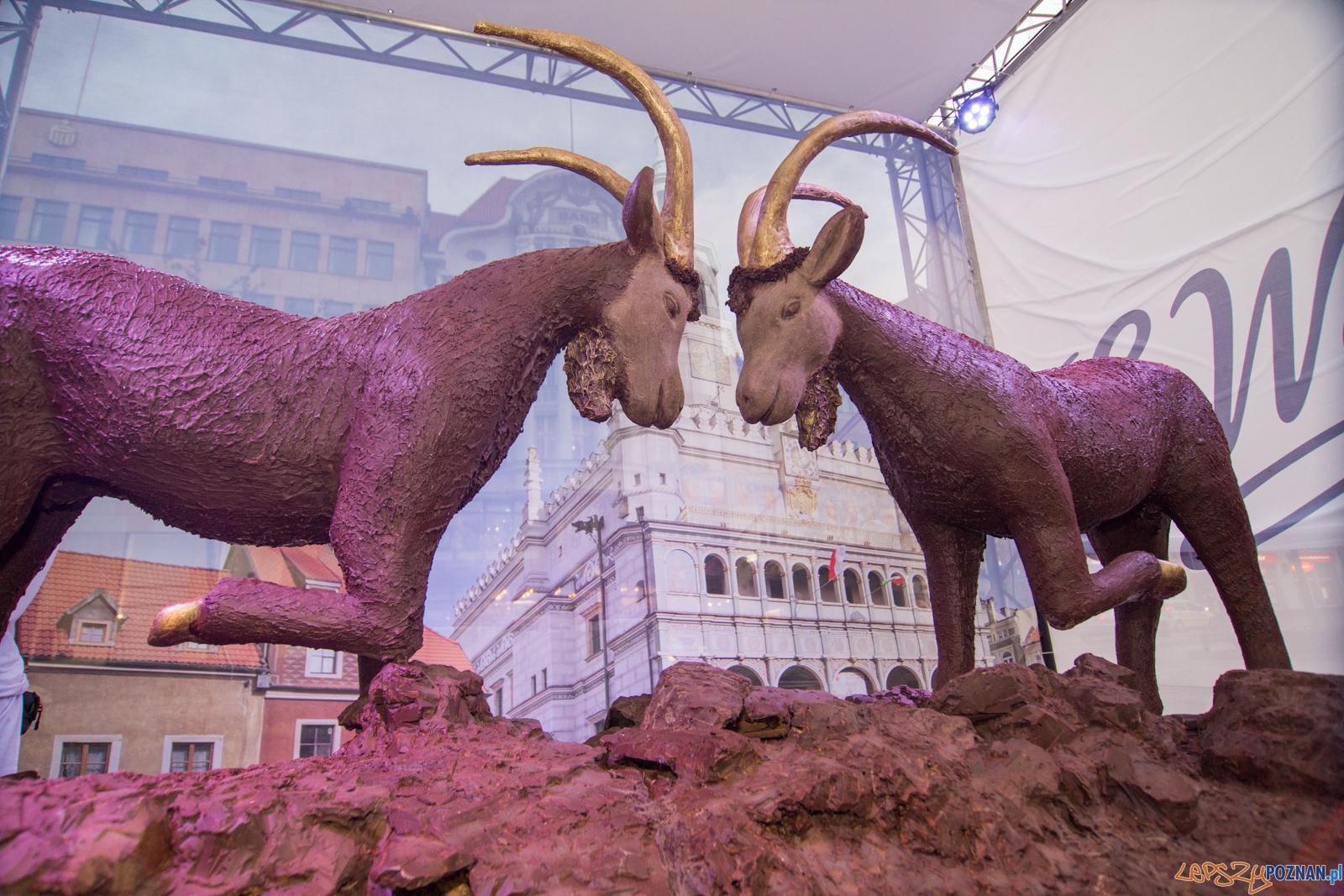 Międzynarodowy Dzień Czekolady Foto: lepszyPOZNAN.pl / Piotr Rychter Międzynarodowy Dzień Czekolady Foto: lepszyPOZNAN.pl / Piotr Rychter