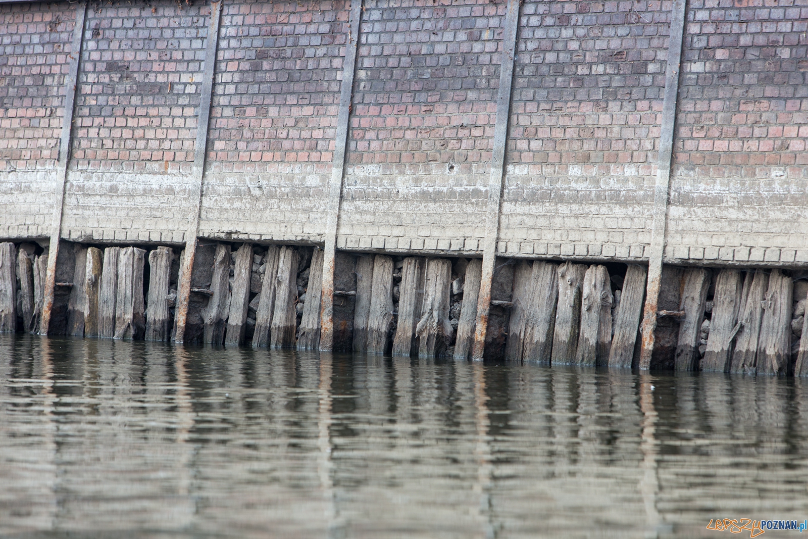 Spływaj śmieciu, tej! Foto: lepszyPOZNAN.pl / Piotr Rychter Spływaj śmieciu, tej! Foto: lepszyPOZNAN.pl / Piotr Rychter