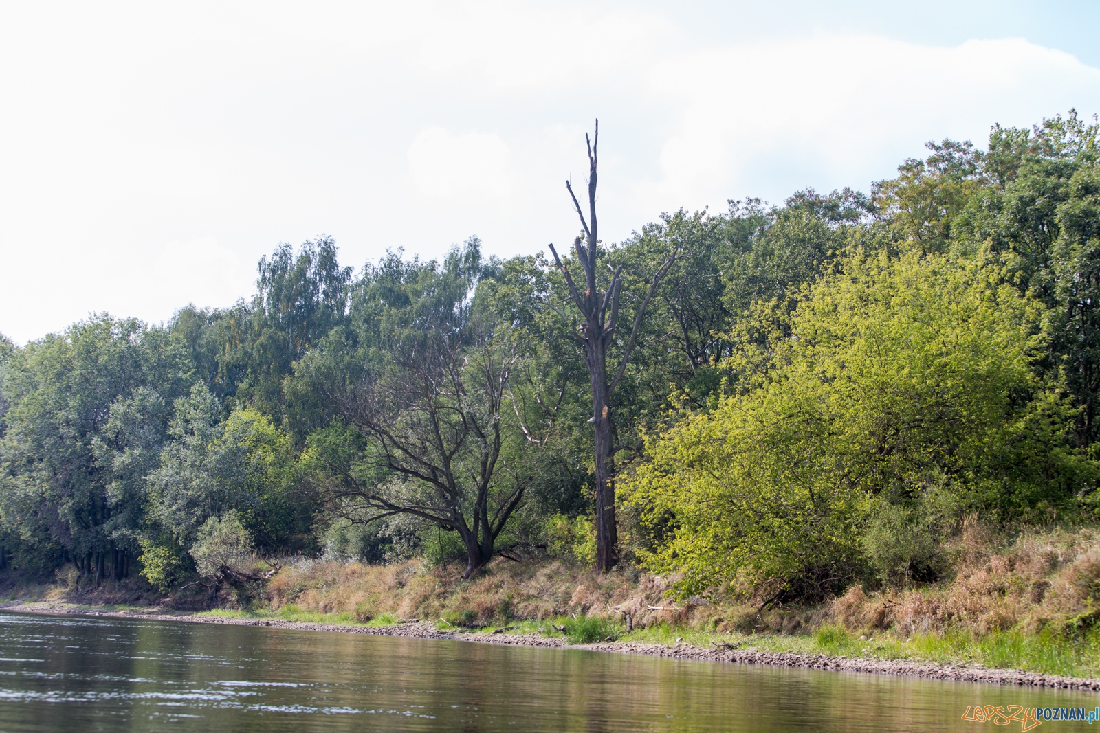 Spływaj śmieciu, tej! Foto: lepszyPOZNAN.pl / Piotr Rychter Spływaj śmieciu, tej! Foto: lepszyPOZNAN.pl / Piotr Rychter