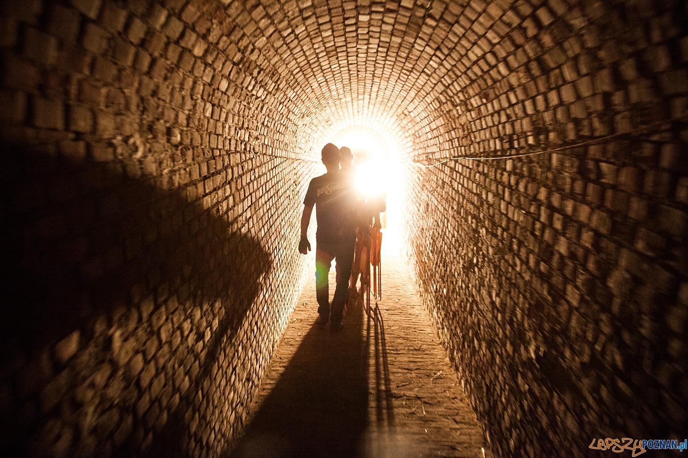 Chronology (16) Foto: Agencja GPD Chronology (16) Foto: Agencja GPD