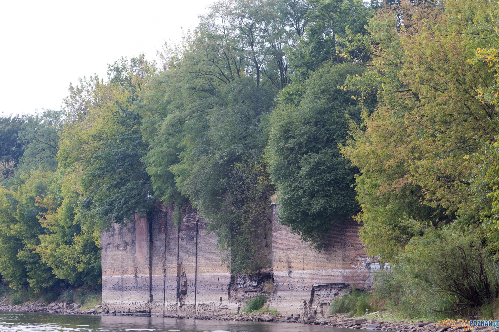 Spływaj śmieciu, tej! Foto: lepszyPOZNAN.pl / Piotr Rychter Spływaj śmieciu, tej! Foto: lepszyPOZNAN.pl / Piotr Rychter