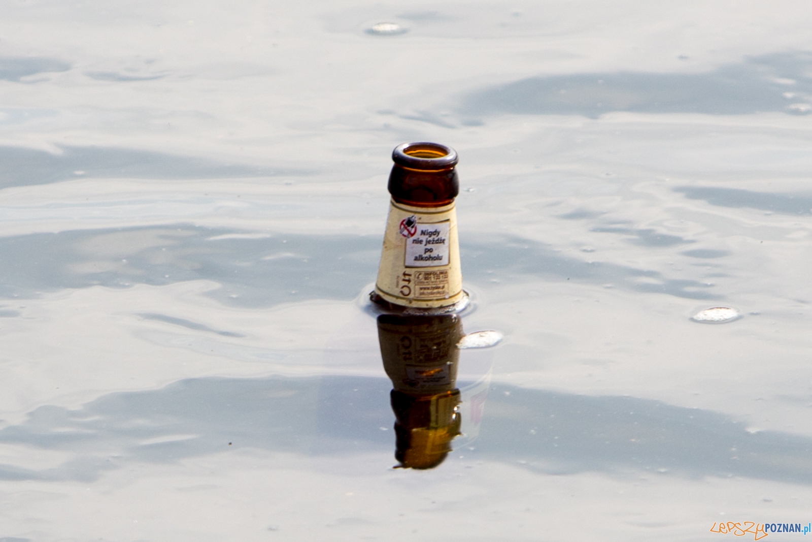 Spływaj śmieciu, tej! Foto: lepszyPOZNAN.pl / Piotr Rychter Spływaj śmieciu, tej! Foto: lepszyPOZNAN.pl / Piotr Rychter