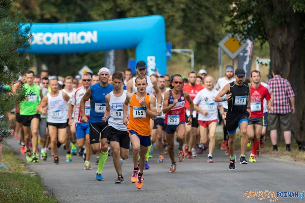 Murowana Dycha (2) Foto: materiały prasowe Murowana Dycha (2) Foto: materiały prasowe