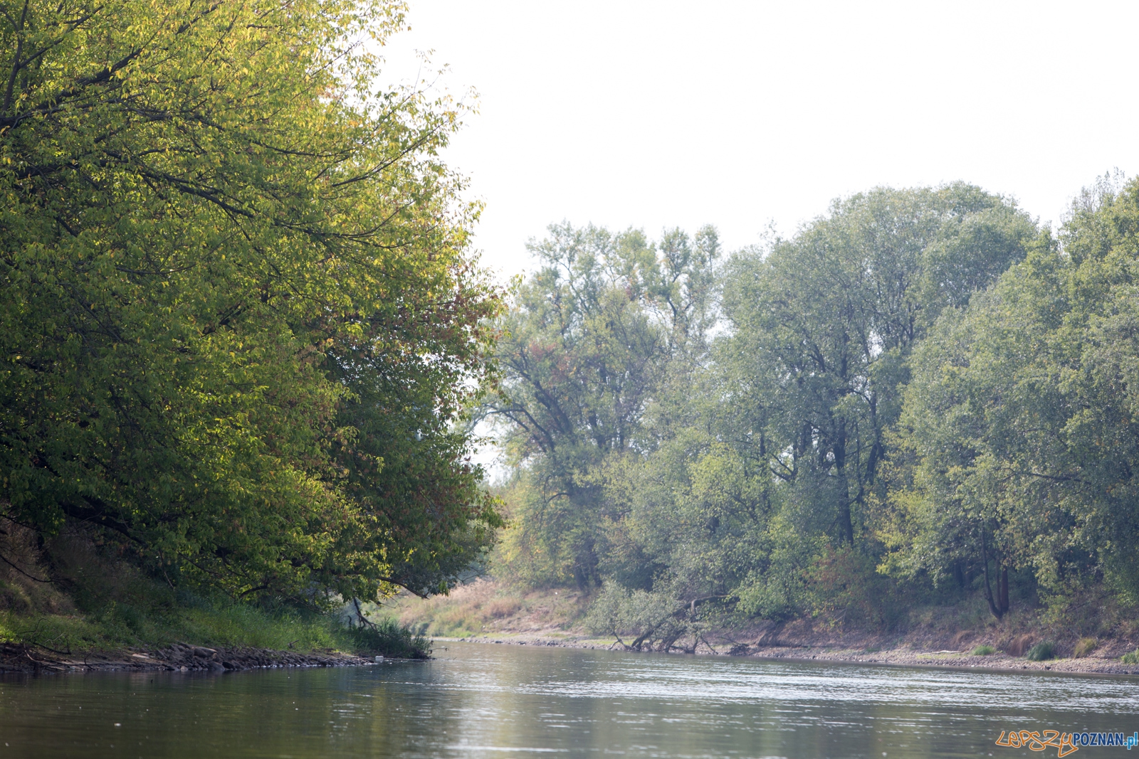 Spływaj śmieciu, tej! Foto: lepszyPOZNAN.pl / Piotr Rychter Spływaj śmieciu, tej! Foto: lepszyPOZNAN.pl / Piotr Rychter