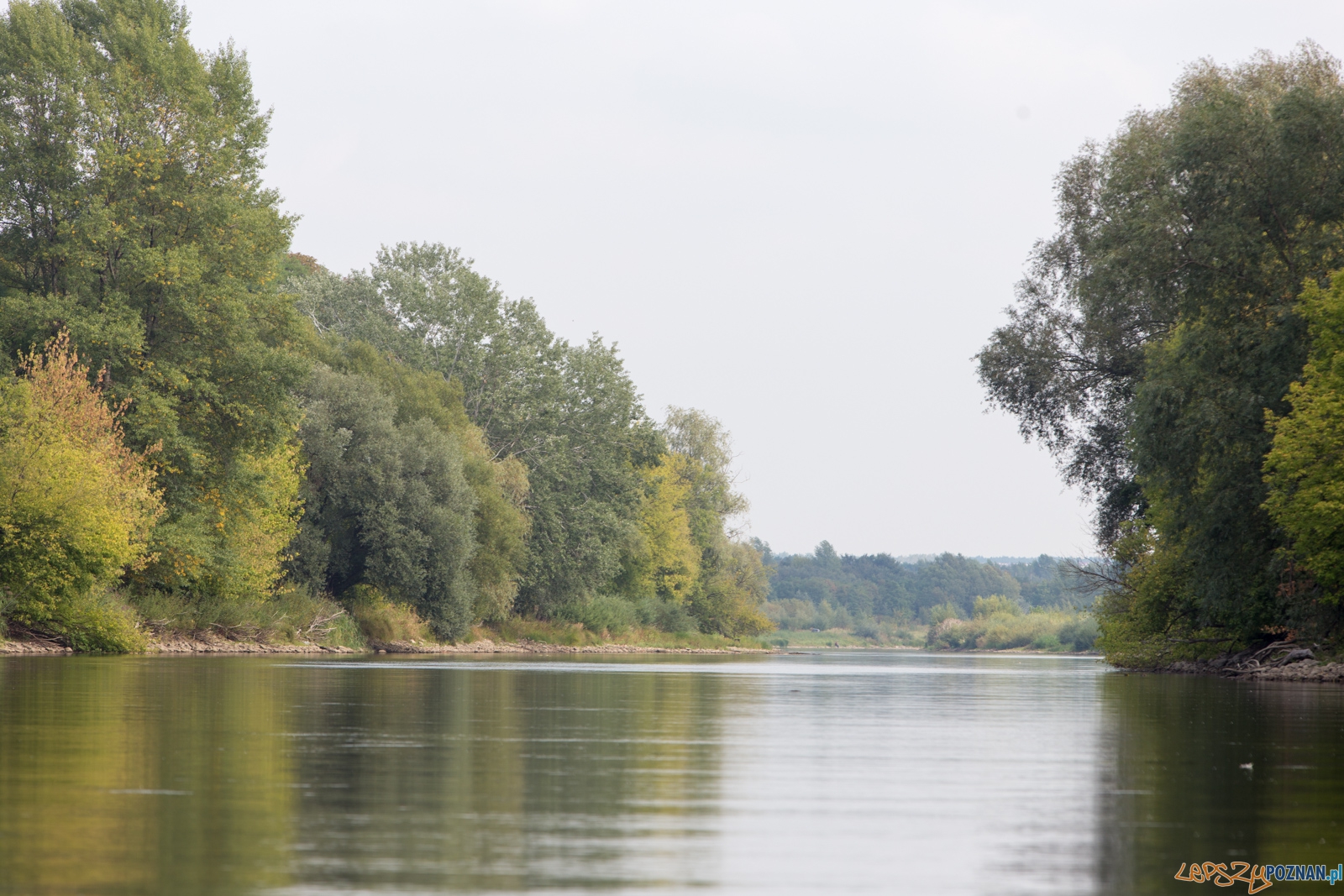 Spływaj śmieciu, tej! Foto: lepszyPOZNAN.pl / Piotr Rychter Spływaj śmieciu, tej! Foto: lepszyPOZNAN.pl / Piotr Rychter