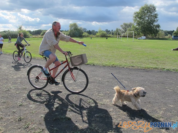 Chartyatywny Bieg w Murowanej Goślinie Foto: Chartyatywny Bieg w Murowanej Goślinie Foto: