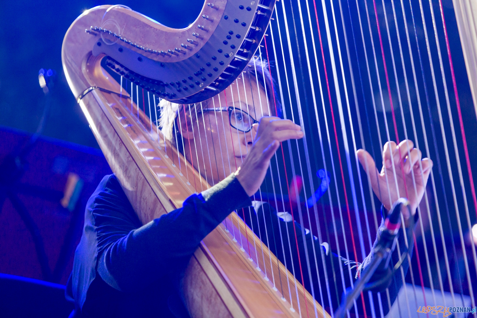 Żywioły i... tańce świata Foto: lepszyPOZNAN.pl / Piotr Rychter Żywioły i... tańce świata Foto: lepszyPOZNAN.pl / Piotr Rychter