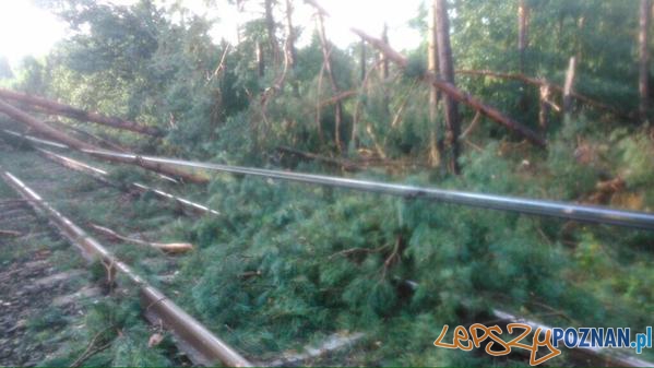 Tak wyglądają tory po nawałnicy. Foto: PKP PLK Tak wyglądają tory po nawałnicy. Foto: PKP PLK