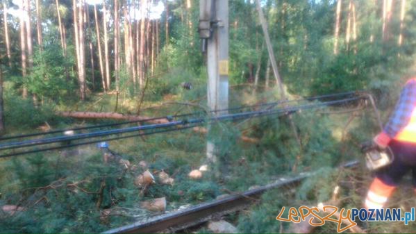 Tak wyglądają tory po nawałnicy. Foto: PKP PLK Tak wyglądają tory po nawałnicy. Foto: PKP PLK