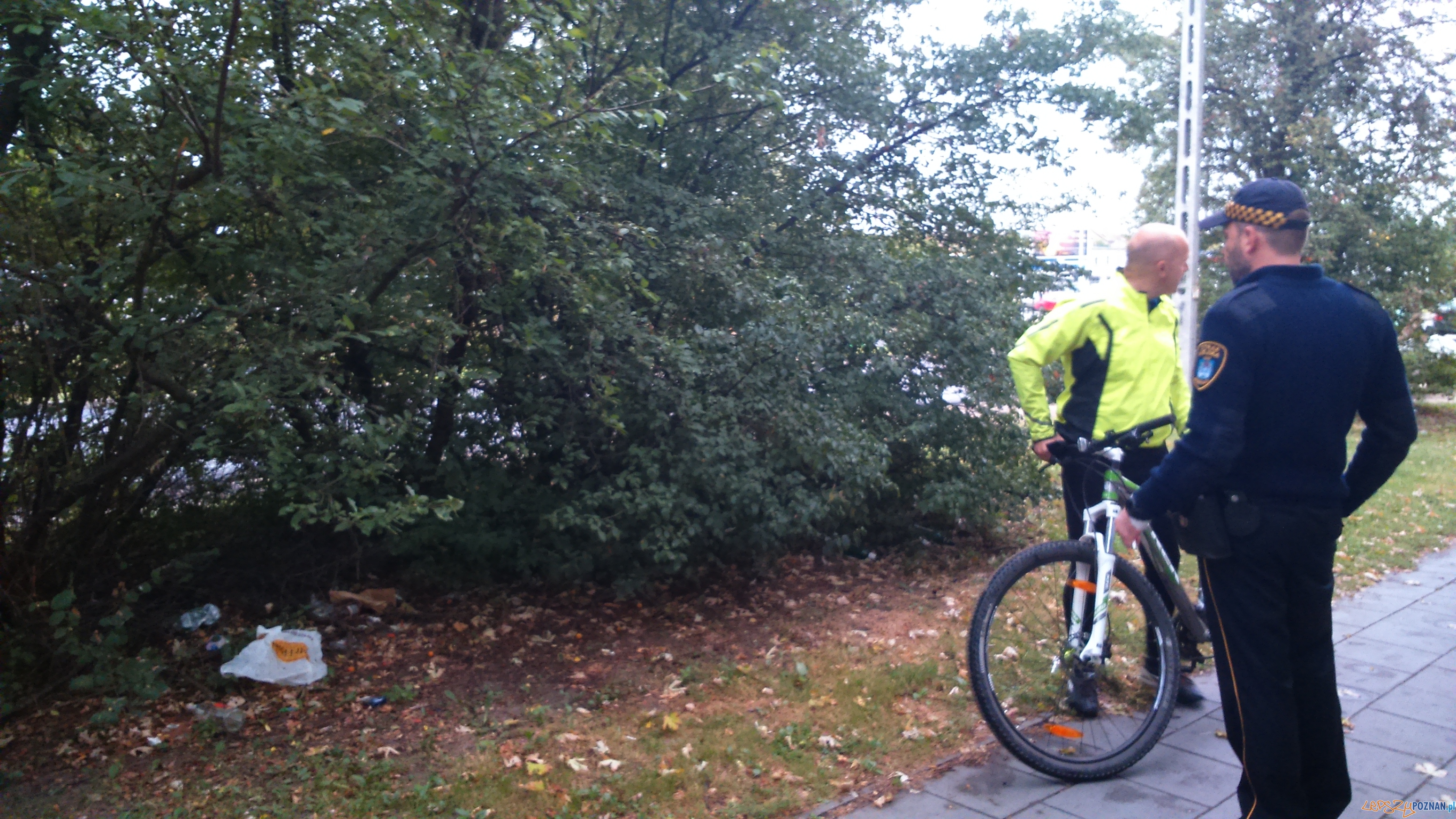 DSC_0157 Foto: DSC_0157 Foto: