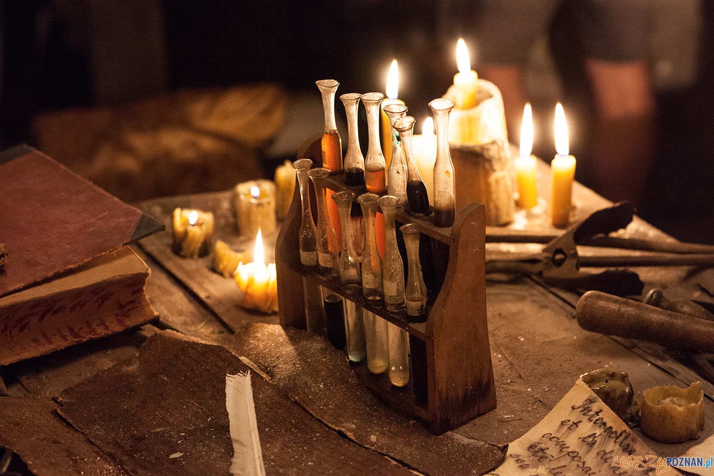 Chronology (12) Foto: Agencja GPD Chronology (12) Foto: Agencja GPD