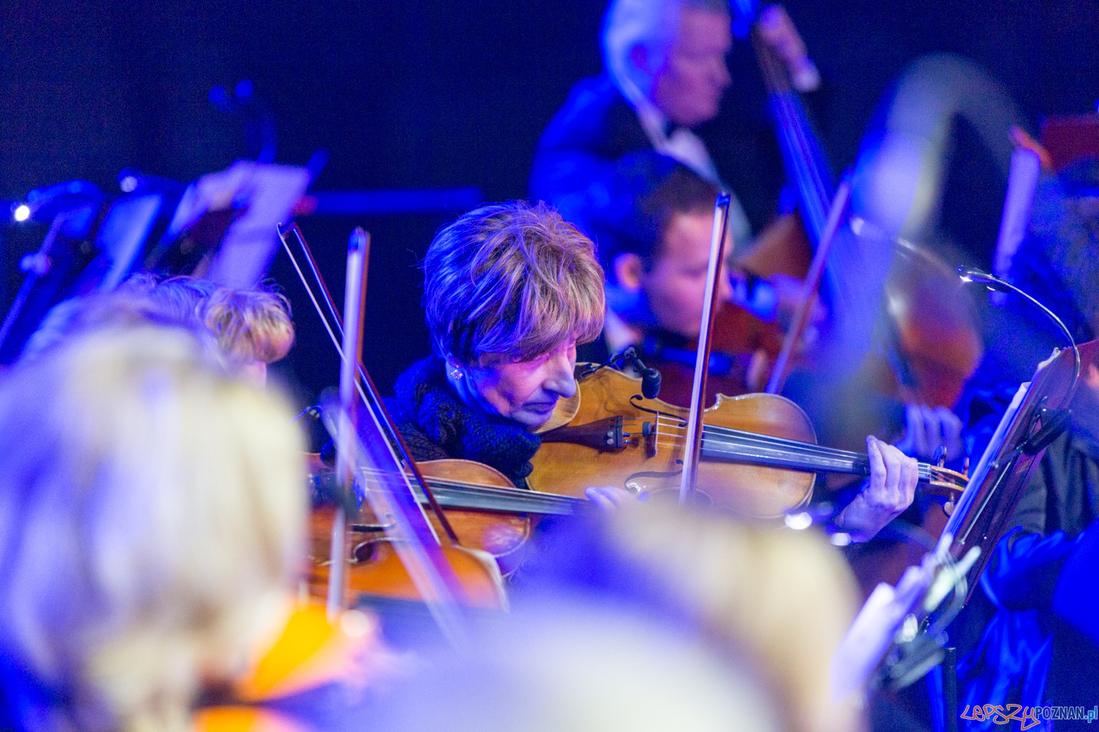 Żywioły i... tańce świata Foto: lepszyPOZNAN.pl / Piotr Rychter Żywioły i... tańce świata Foto: lepszyPOZNAN.pl / Piotr Rychter